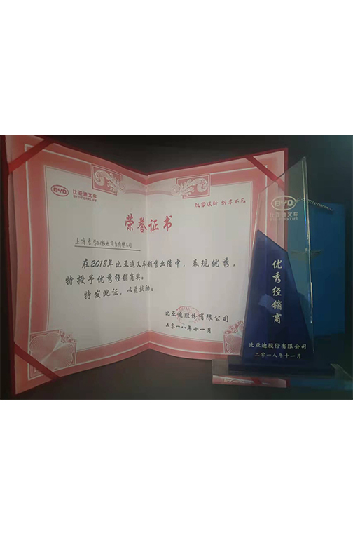  黄浦区比亚迪2018优秀经销商